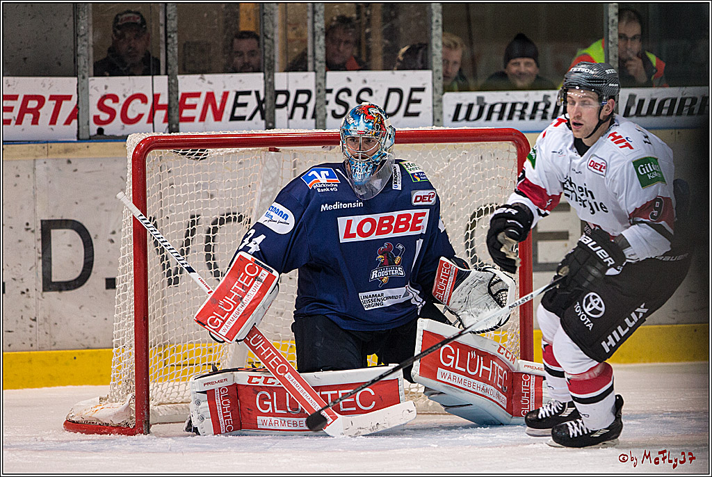 DEL, Iserlohn Roosters - Koelner Haie , 17.02.2017